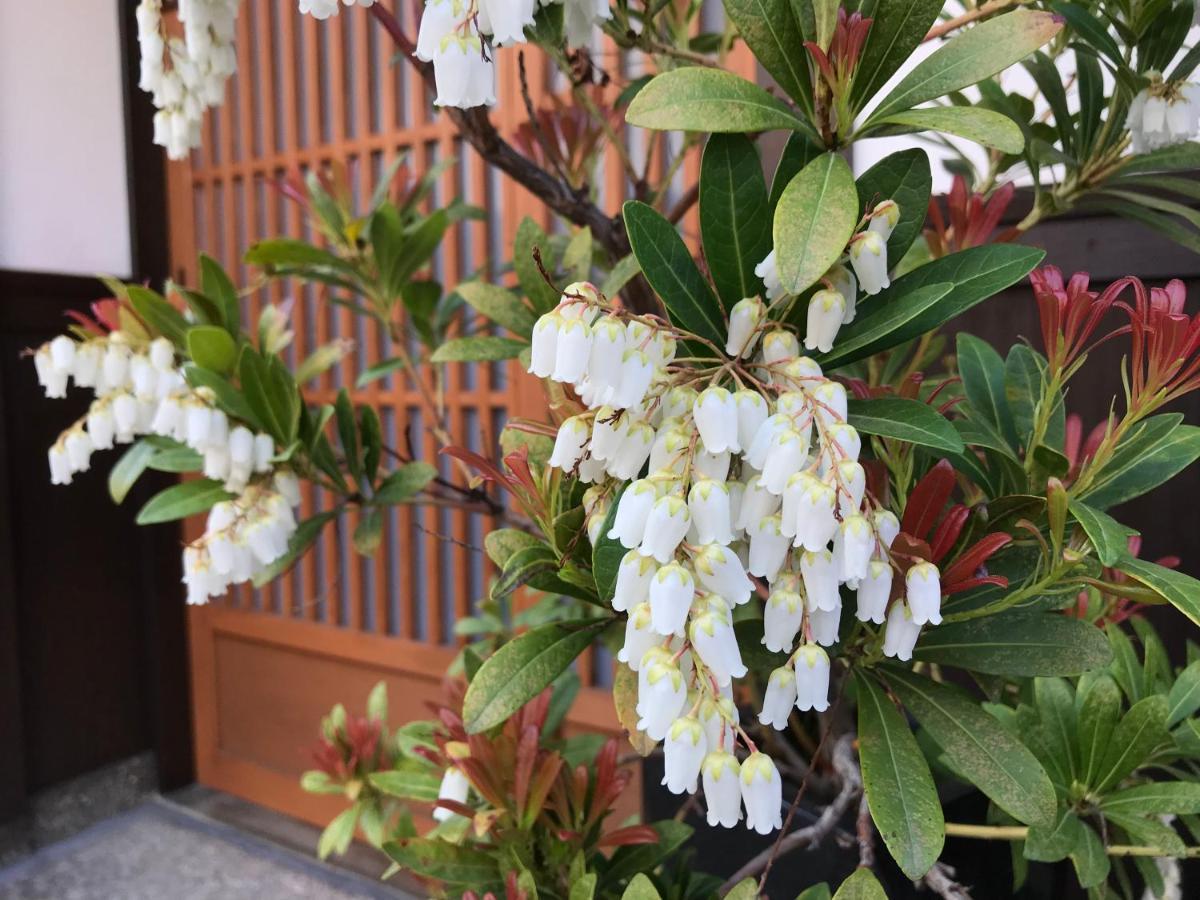 Gion Kyuraku — Photos 2